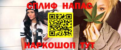 PSILOCYBIN Будённовск
