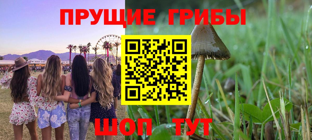 Псилоцибиновые грибы мухоморы  Вход с VPN  Галлюциногенные грибы Psilocybe  Протвино 